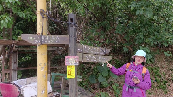 (姨婆趴趴走)第五十集:新北樹林大同山、青龍嶺、大棟山諸峰連走2751519