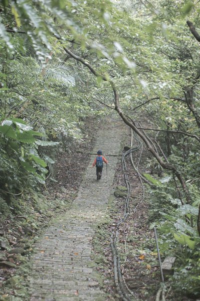 傳說中的「魔神仔洞」| 菁桐古道（汐止段＆平溪段）2721265