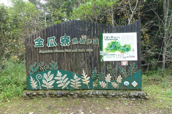 金瓜寮魚蕨步道3086802
