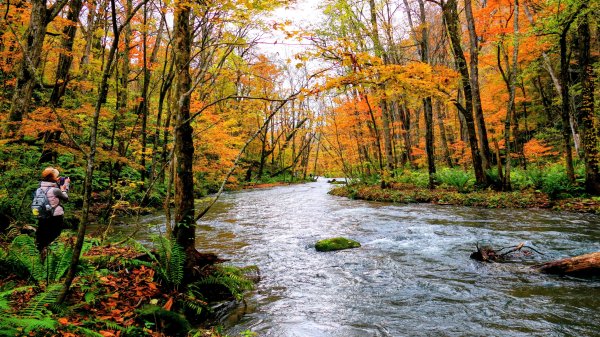 青森縣奧入瀨溪2929978