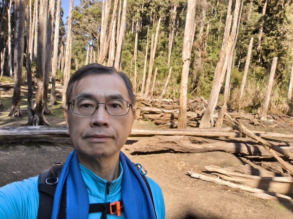 金柑樹、嶺頭山、忘憂森林2956112