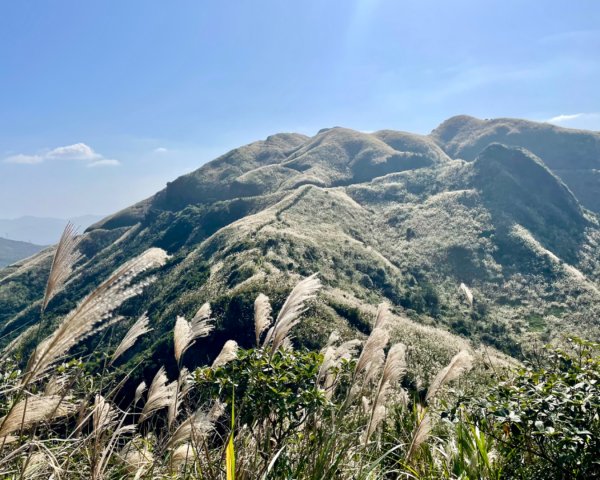 黃金博物館-一柱擎天-半平山-燦光寮山-地質公園-黃金神社-黃金博物館2363121