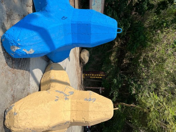 20230503__三汀山+阿罩霧山（台中小百岳）2762362