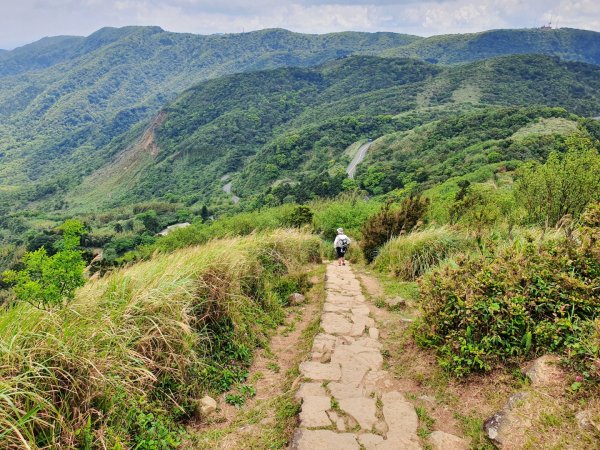 頂山，石梯嶺，竹篙山，雞心崙，五指山，梅花山，香對山，雙溪溝古道，風櫃嘴步道，土城明德山1664608