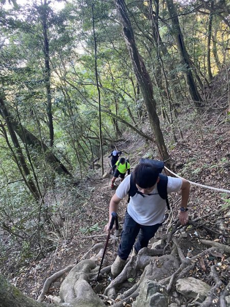 苗栗_大坪出發~杜鵑嶺/加里山1485798