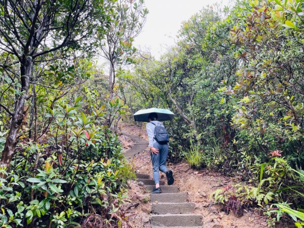 1120326 HK西高山｜盧吉道-夏力道O繞2085416