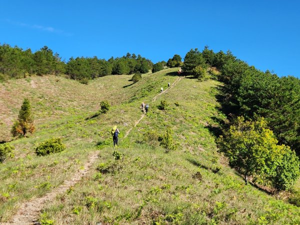 【中級山】馬武霸山，實至名歸的百岳觀景台2937736