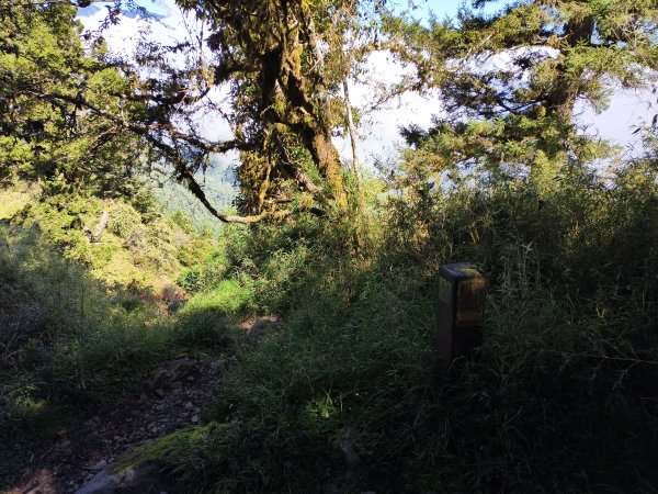 北一段(03/14)多加屯山 2025_0906~132885255