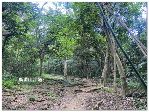福源山步道 (桃園、龜山)2819159