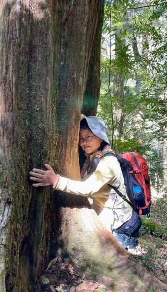 漫遊大雪山森林 訪尋雪山大小神木 快閃天池2923246