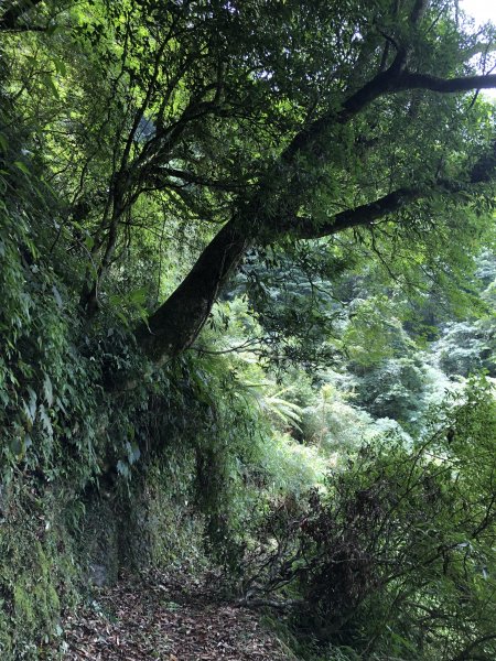 台灣小百岳No.055 石壁山1027968