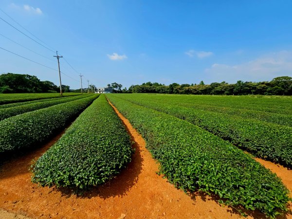 石光古道-2025森遊竹縣皮皮獅探險隊