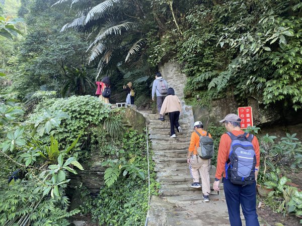 《銀河洞越嶺到貓空｜冬日健行 4 5 公里秘境步道｜親子也適合的台北近郊路線》2971023