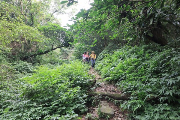 福卯古道-雪山尾稜北段-隆嶺古道2800026