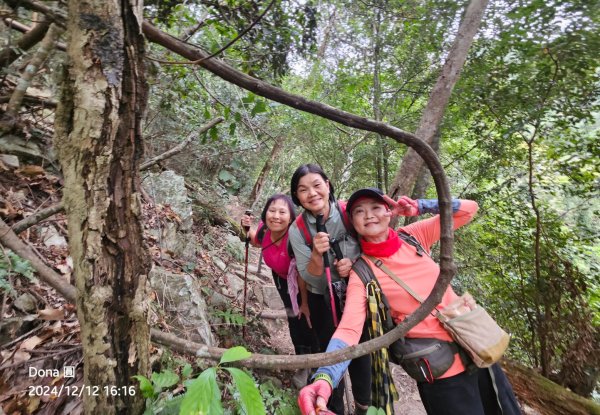 【谷關七雄】波津加(H1771.6m)肉腳配速成功2670526