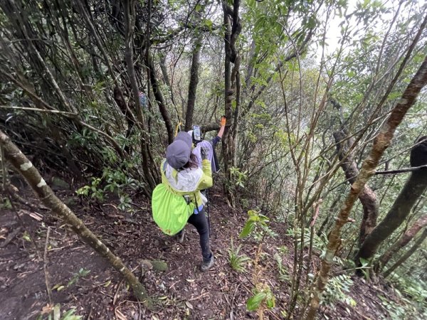 武山坑炭窯2990739