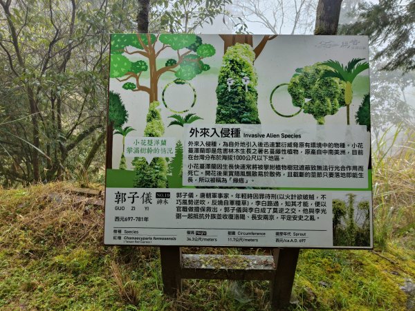 神木園步道2371890