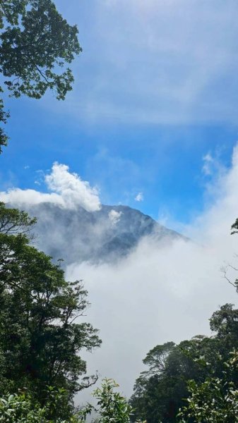 20251106北大武山步道☁️ 喜多麗雲海2931372