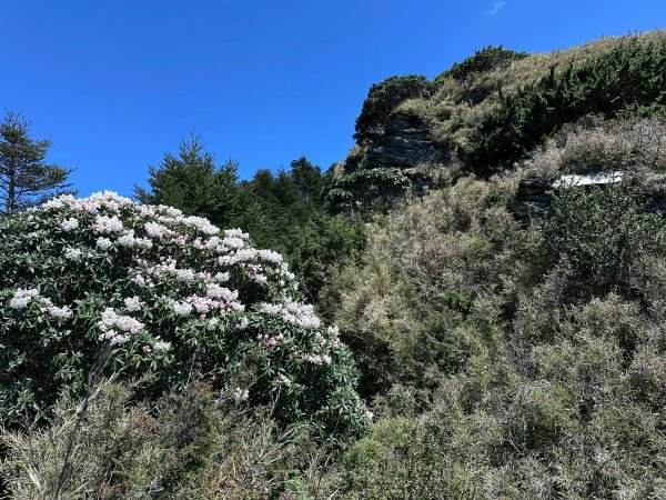 小奇萊步道2777626