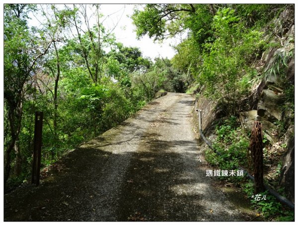 裡冷山、裡冷山南峰 ( 台中、和平 )1645803