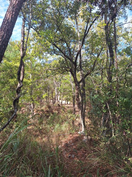 上谷關山202511202940872