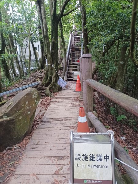 【桃園復興】台灣百大必訪步道。 東眼山森林遊樂區-東眼山自導式步道2835938