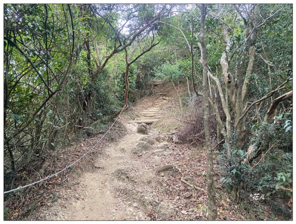 旗靈縱走(旗尾山、福美山、金字面山、人頭山、靈山)2996448