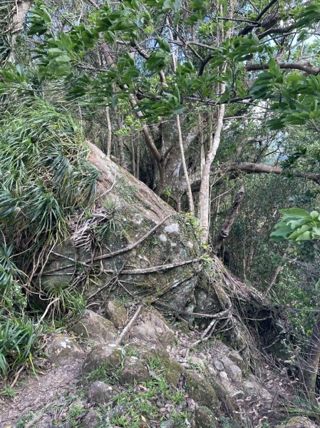 【二格山系】筆架連峰2881268