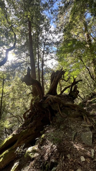 2025/03/01庫哈諾辛山2725274