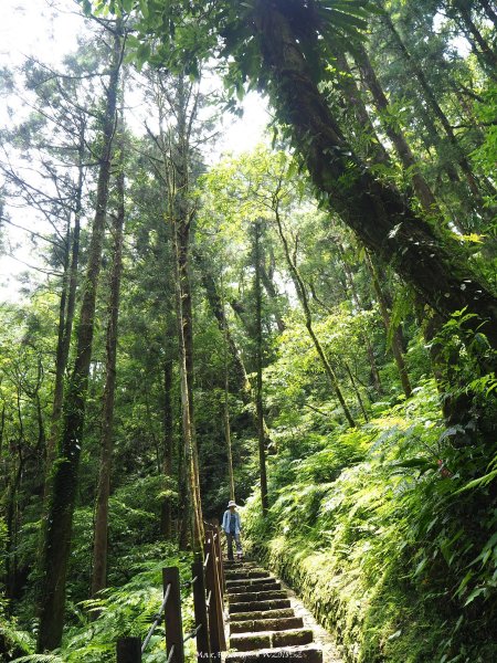 《宜蘭》北橫明珠｜明池國家森林遊樂區201805192889314