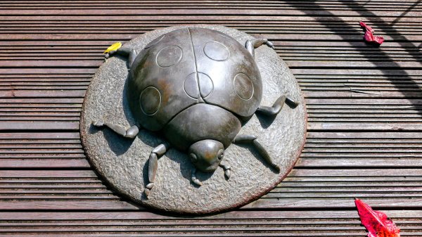 知本森林遊樂區3015074