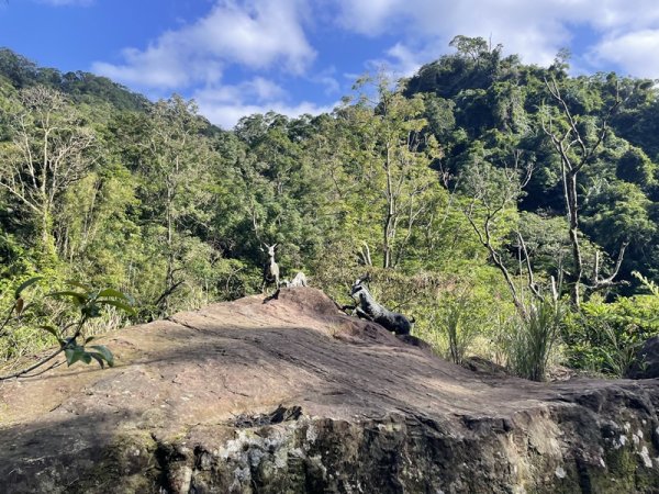 月扇湖大岩壁2952418