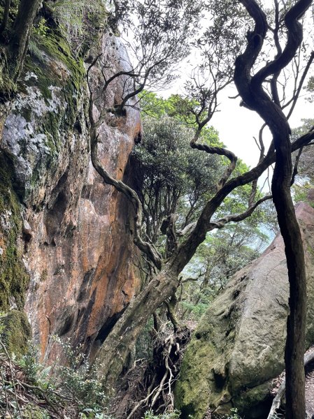 那結山2488242