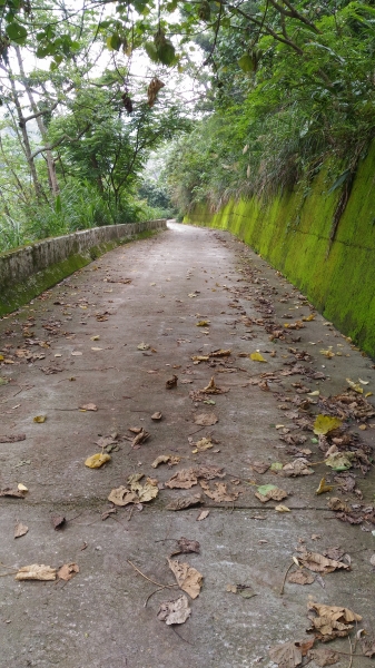 太平-咬人狗坑步道-主步道44842