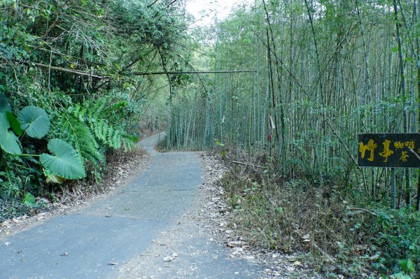 南投 鹿谷 龍鳳山、龍鳳峽山、三叉崙山、水桶寮山、內樹皮山、羊頭崙山、志騰山、竹崙山、溪頭山2962233