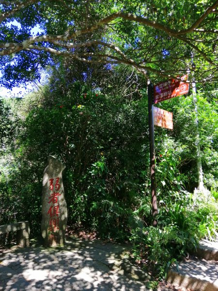 新北~360度極佳視野。八里觀音山硬漢嶺1152610