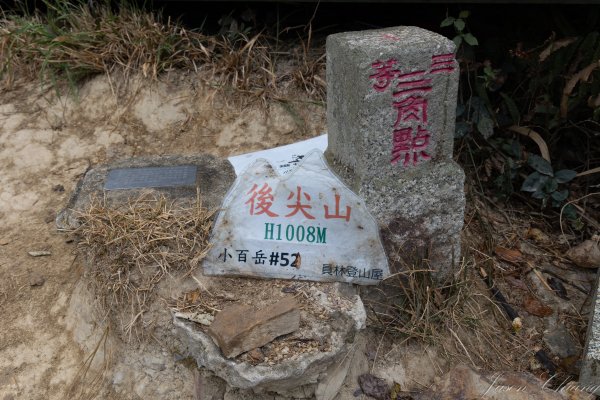 [南投]後尖山3015592