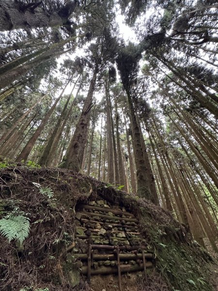 漫步特富野古道2371474