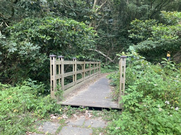 飛鳳山登山步道2459545