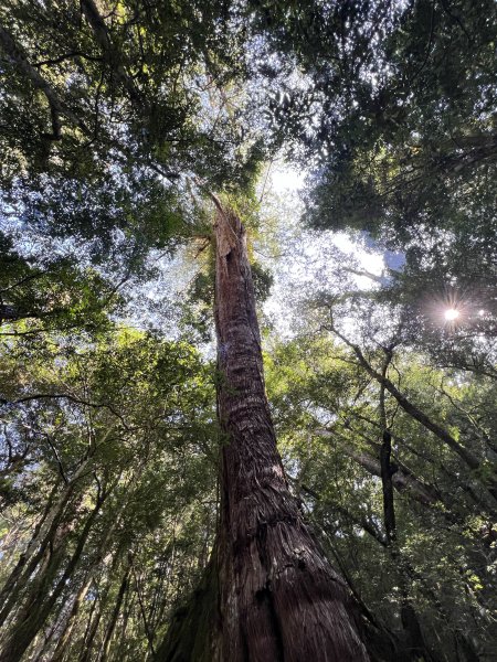 ~ 上帝的部落 - 司馬庫斯 ~3023523