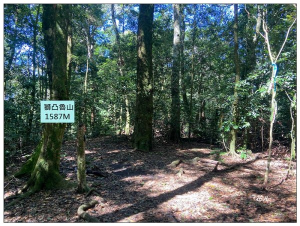 武界山、獅凸魯山、橫屏山、橫屏山西峰 連走2846131