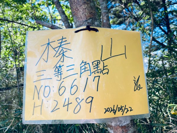20260531觀霧榛山登山步道（榛山北峰+主峰+環形步道）3071481