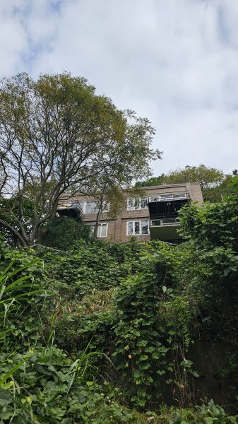 【山形暗影綽綽，我們步履不停，只為那枚海拔千尺下的獨特三角點。】小百岳#044暗影山2943617