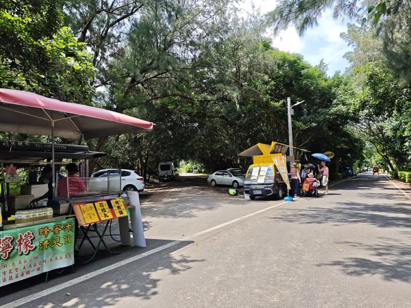 [霄裡好風光，運動樂悠遊！-4/10] 2025_0608 新屋綠色走廊自行車道2808154