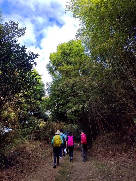 馬那邦山賞楓歡樂野餐/採草莓苗栗一日遊1217042