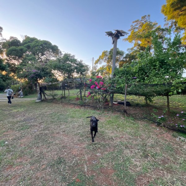 20251210_大山母山（屏東小百岳）2968661