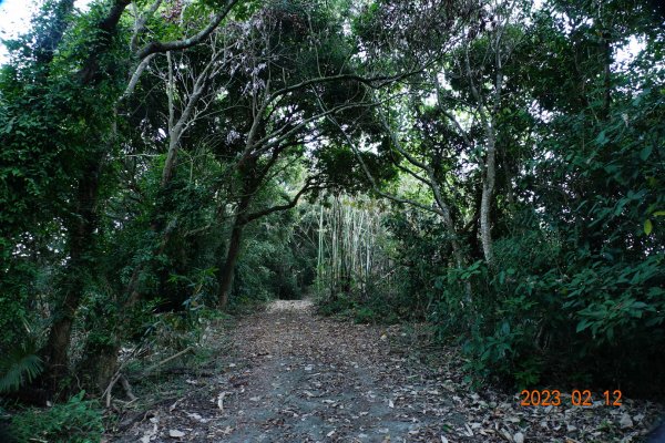 高雄 那瑪夏 頂河表湖山(河表湖山、霍比亞湖山)2032155