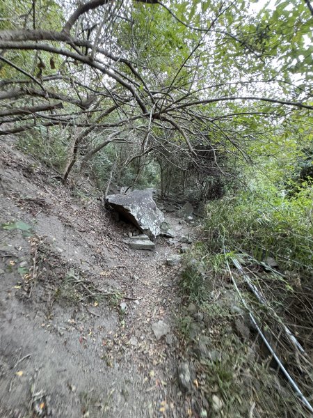 20251213屏東里龍山2961271