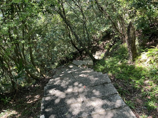 [微笑山線_第九段] 2025_0914 二格山系_天王峰2889561