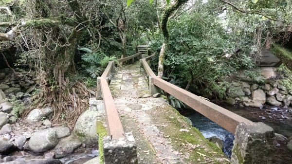 三芝區龜子山橋-三板橋-大屯溪古道(殘念)去回